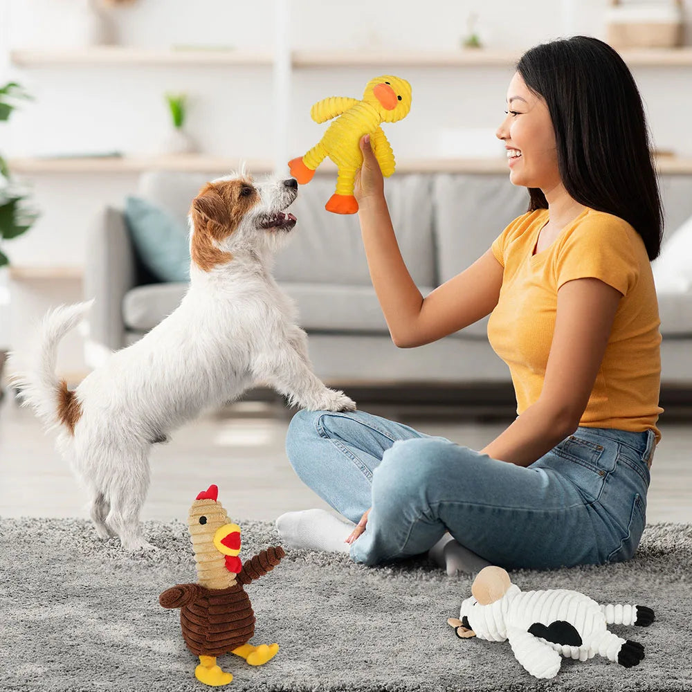 5PC Set Plush Pet Squeaky Toys