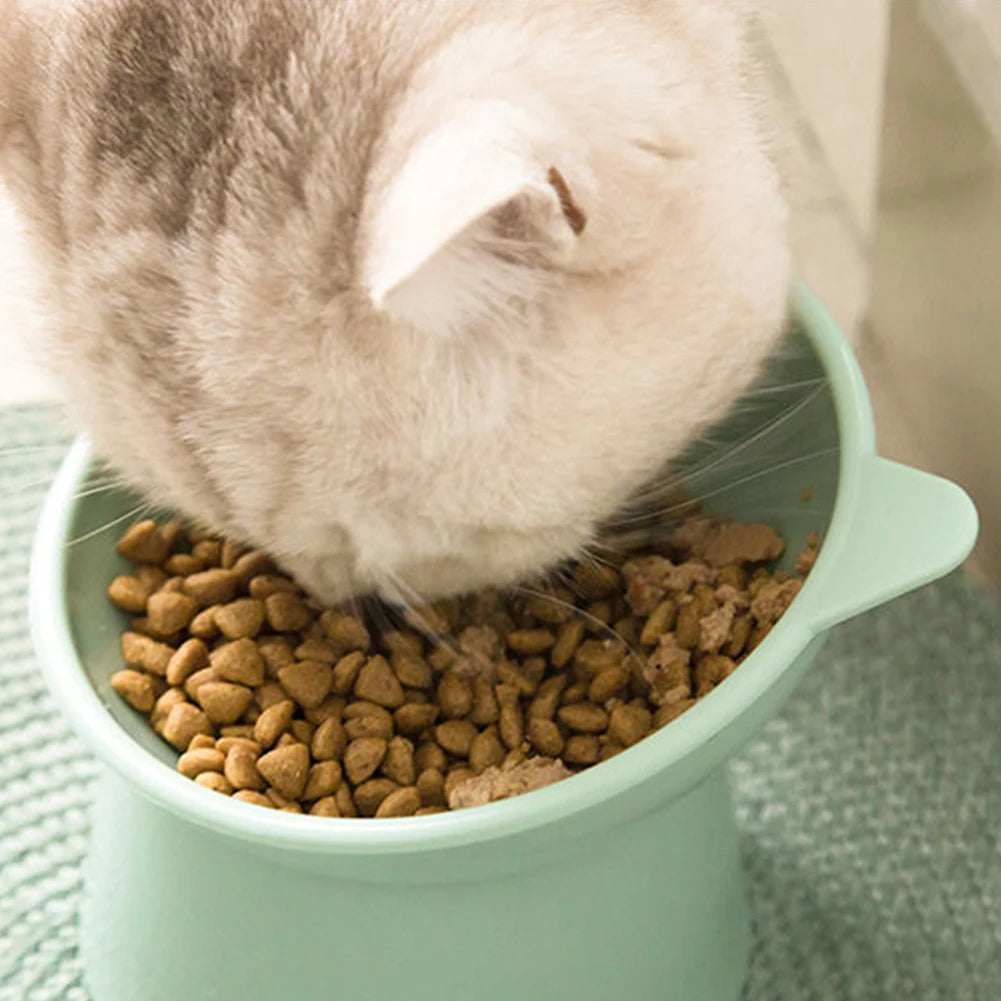 Tilted Ergonomic Raised Pet Food Bowl