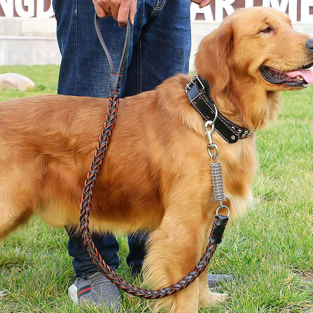Strong Durable No-Pull Braided Leather Dog Leash