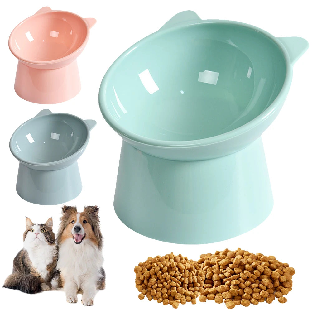 Tilted Ergonomic Raised Pet Food Bowl