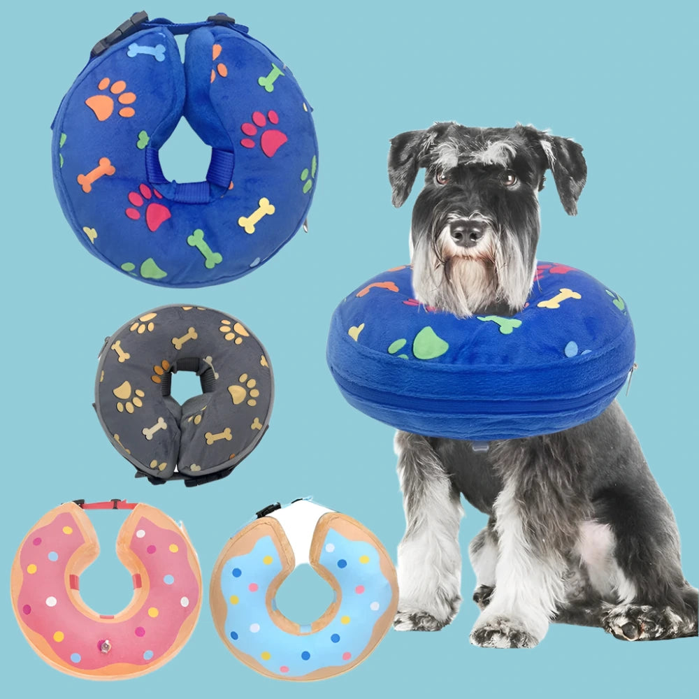 Protective Inflatable Pet Recovery Collar