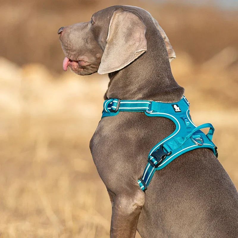 Truelove Reflective No-Pull Dog Vest Harness