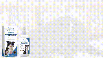 Pet Anti-Microbial Hot Spot Fur Spray