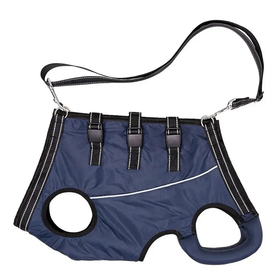 49410923987261|49410924020029|49410924249405|49410924282173|49410924314941