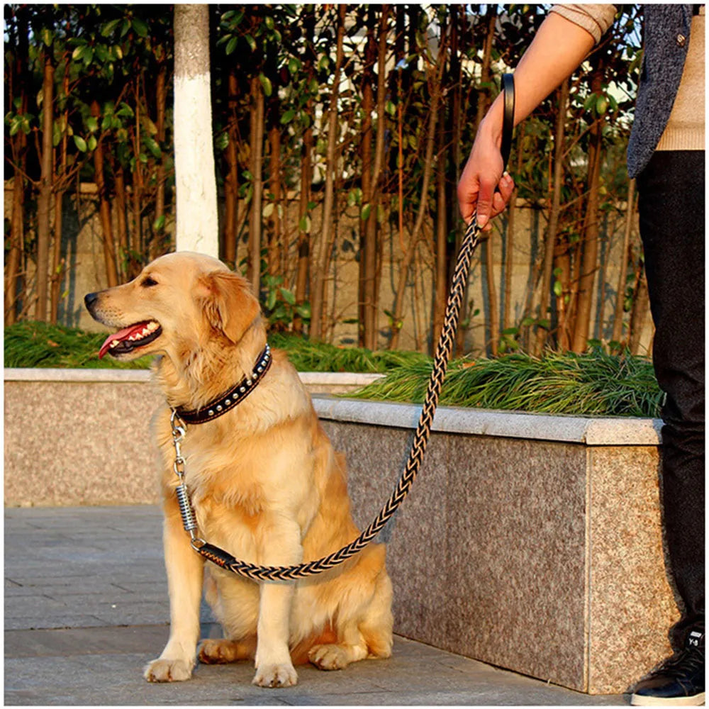 Strong Durable No-Pull Braided Leather Dog Leash