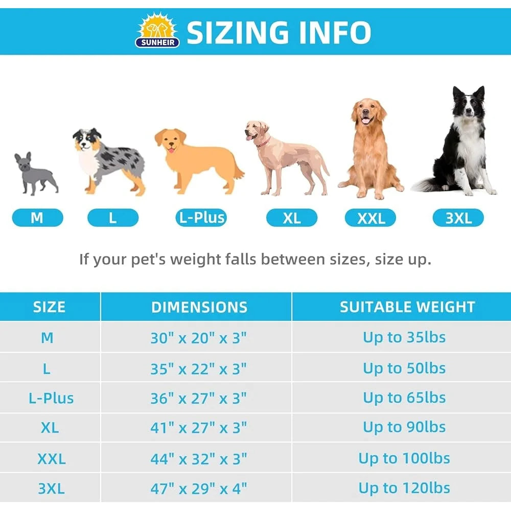 Large Egg-Foam Orthopedic Waterproof Dog Bed