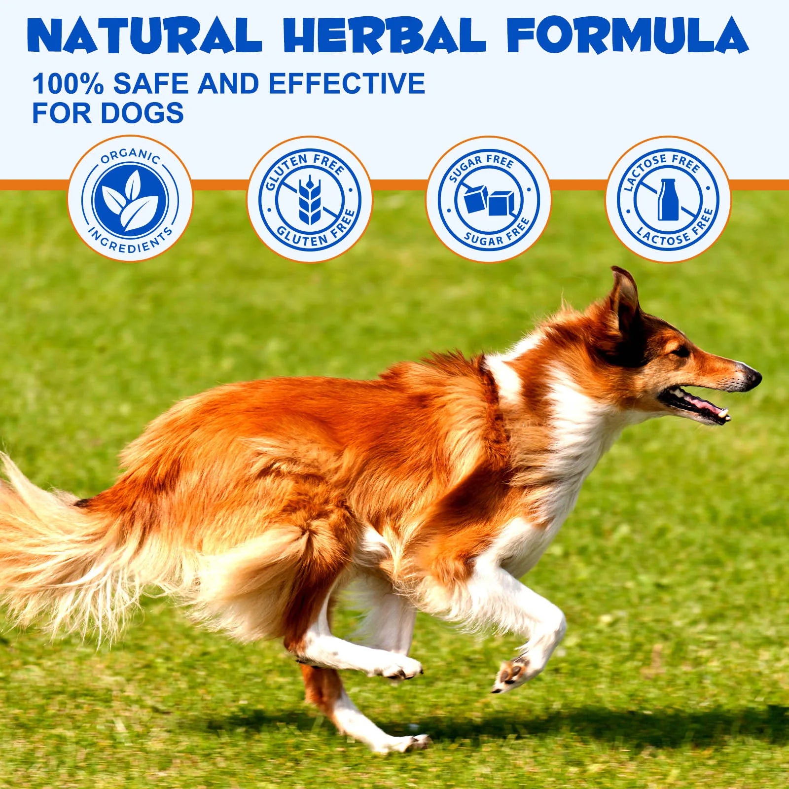 Cranberry Urinary Tract & Bladder Support Dietary Drops for Dogs