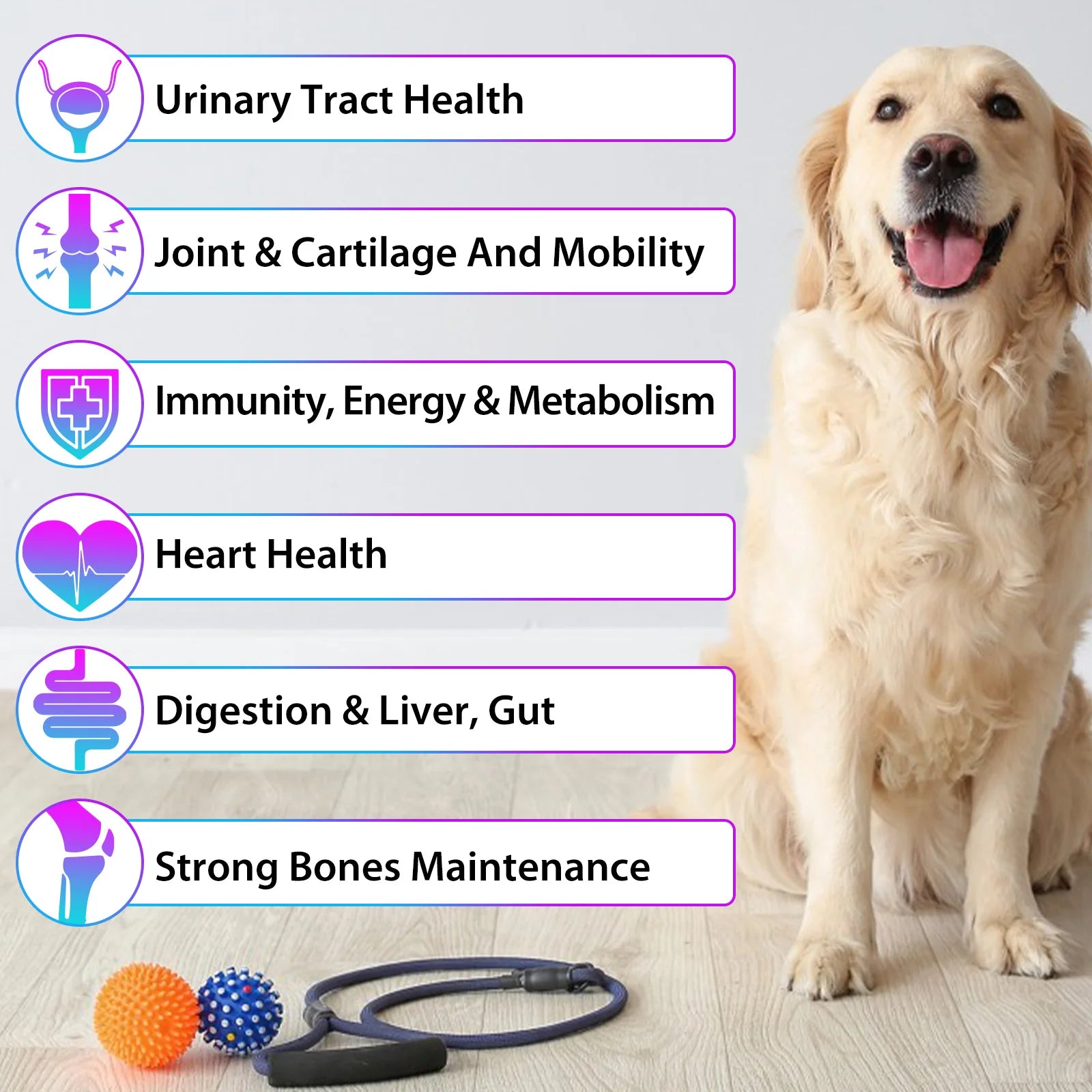 Natural Plant Formula 15-in-1 Multivitamin For Dogs