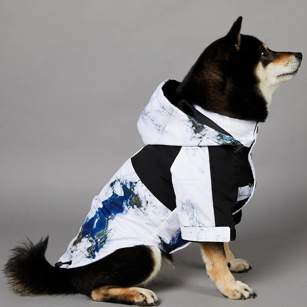 Luxury Designer Multi-Color Waterproof Pet Rain Coat