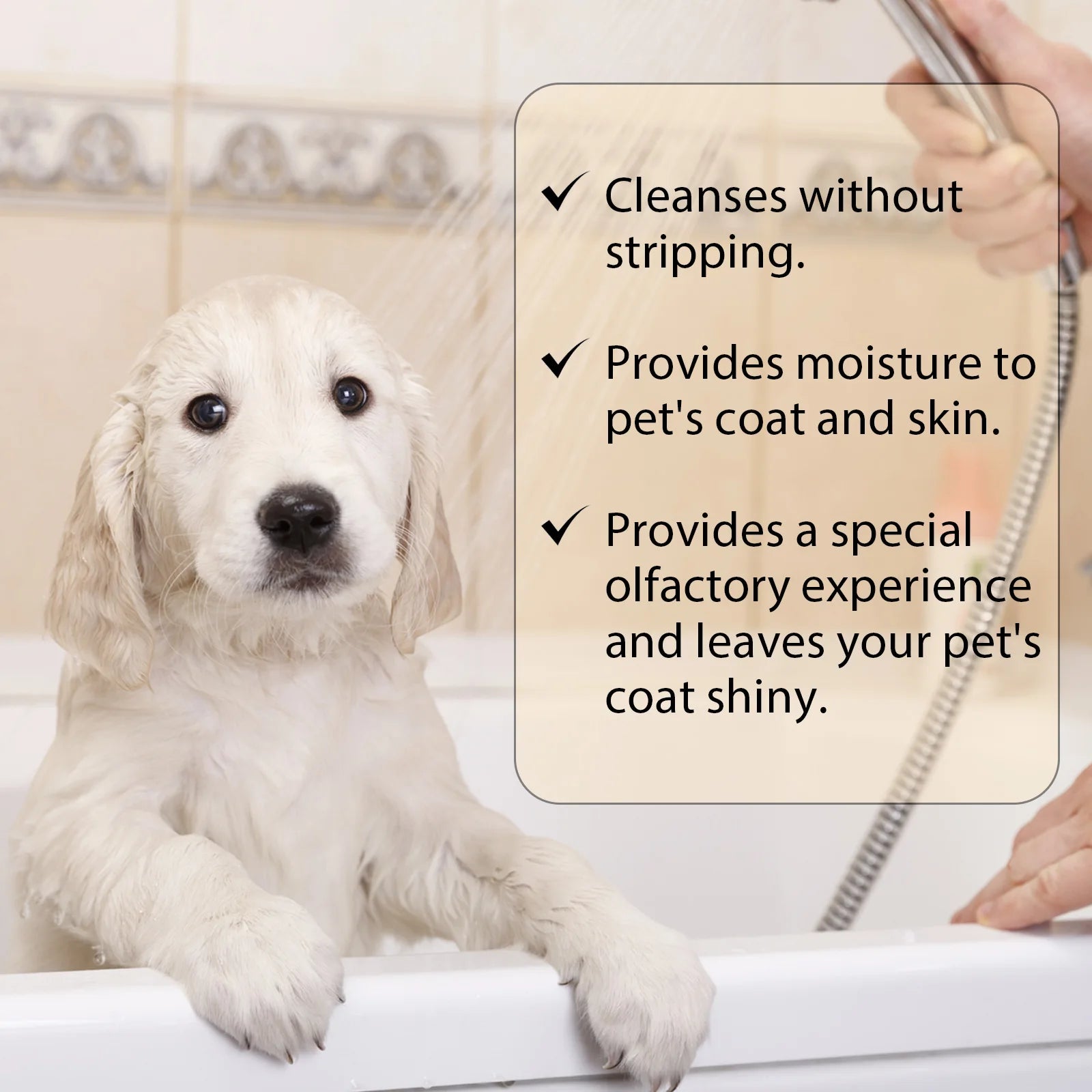 Anti-Itch Deodorant Smoothing Pet Hair Shampoo