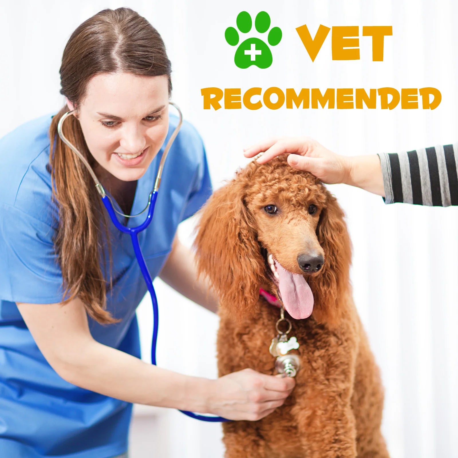 Allergy & Immune Support Liquid Dog Supplement