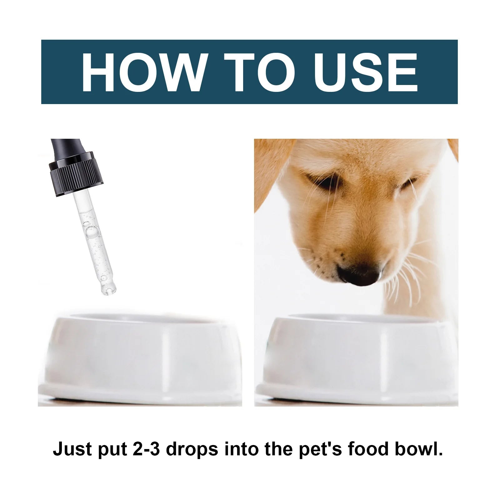 Enhanced Immunity Pet Oral Drops