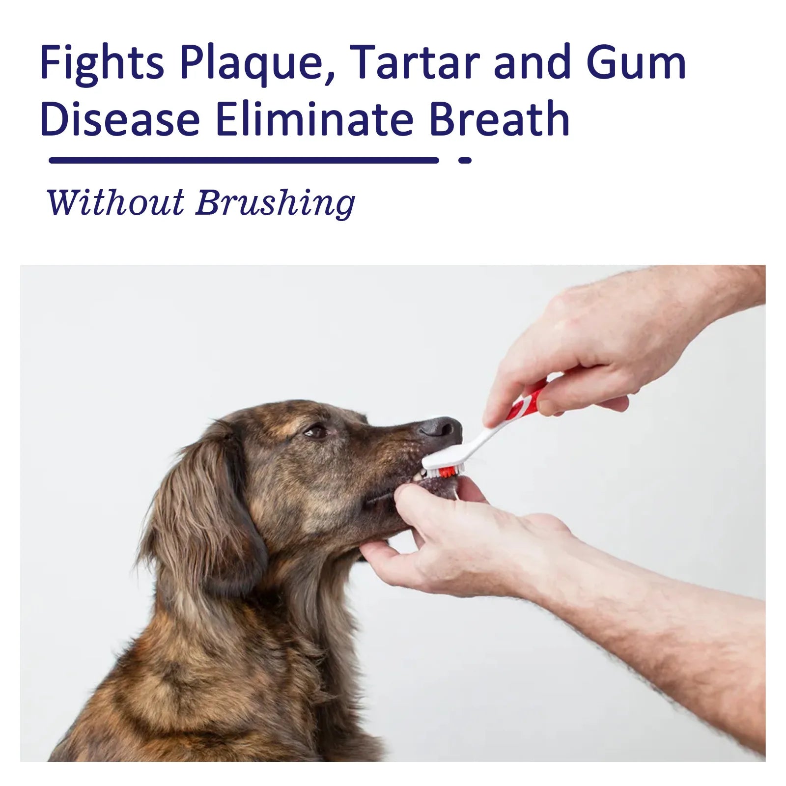 Pet Oral Clean Care Toothpaste