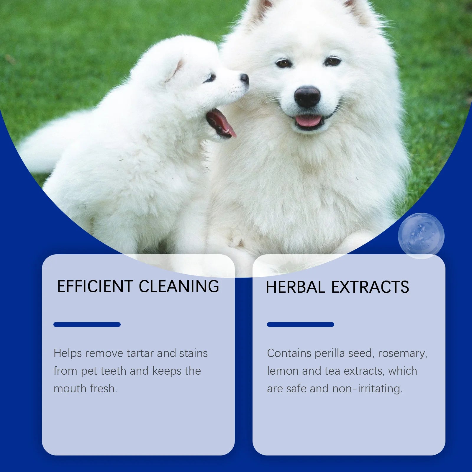 Dog Oral Hygiene Teeth Cleaning & Brightening Powder