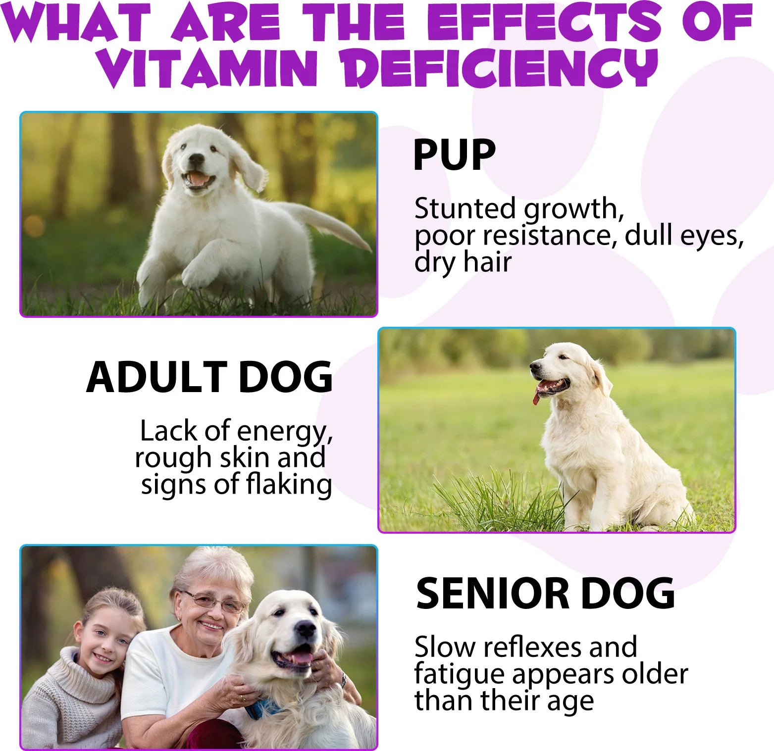 Natural Plant Formula 15-in-1 Multivitamin For Dogs
