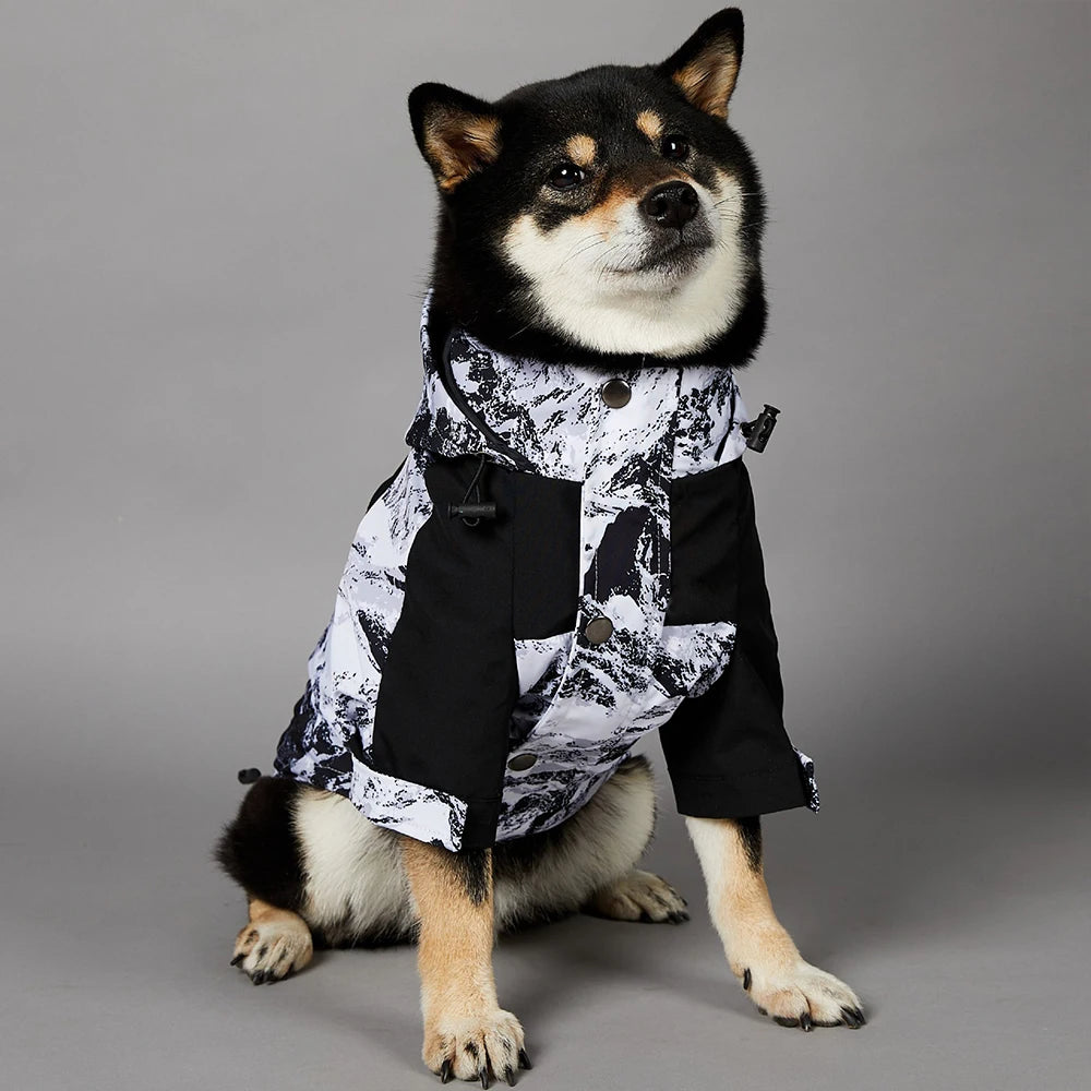 Luxury Designer Multi-Color Waterproof Pet Rain Coat