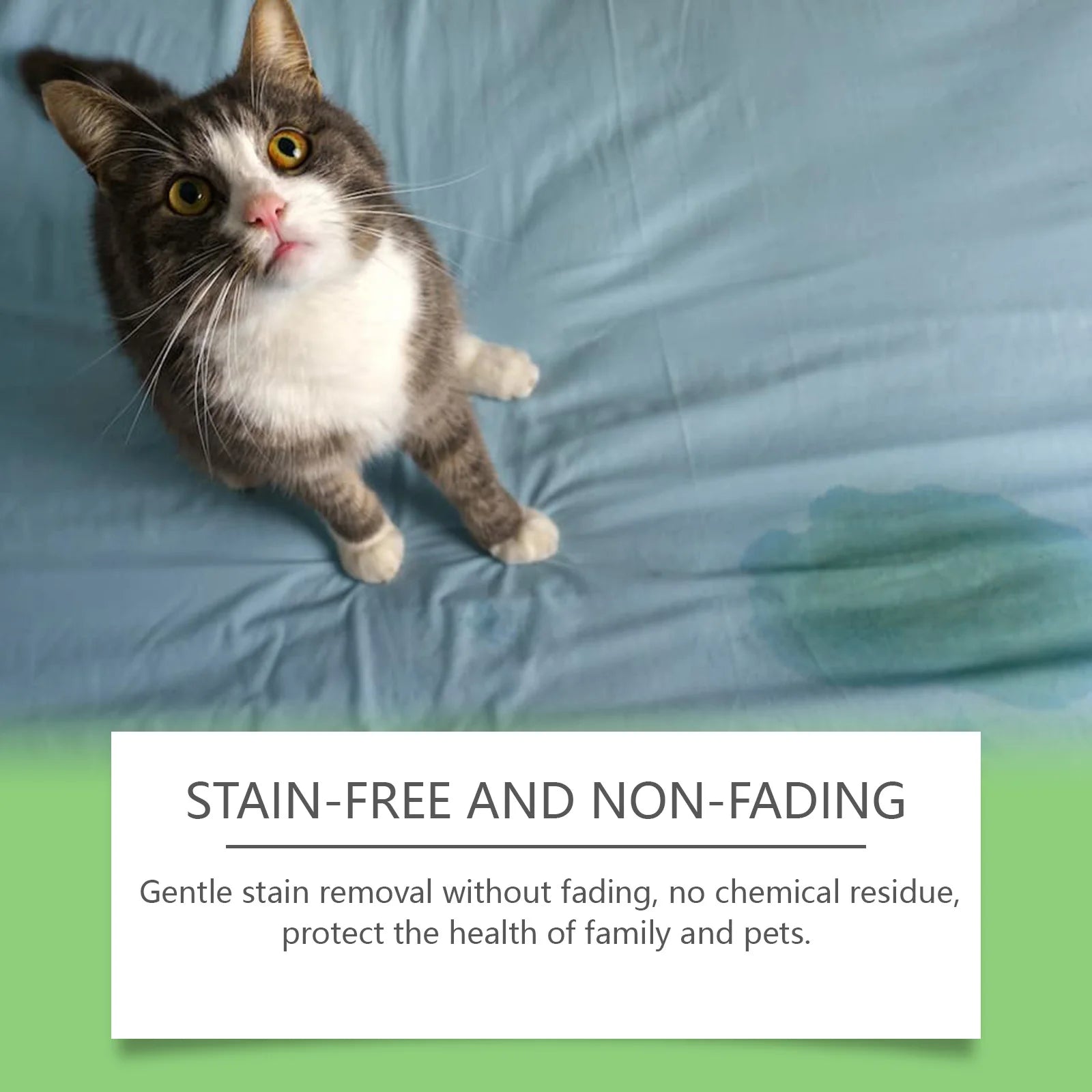 Deep Cleaning Pet Stain Remover & Odor Eliminator Spray