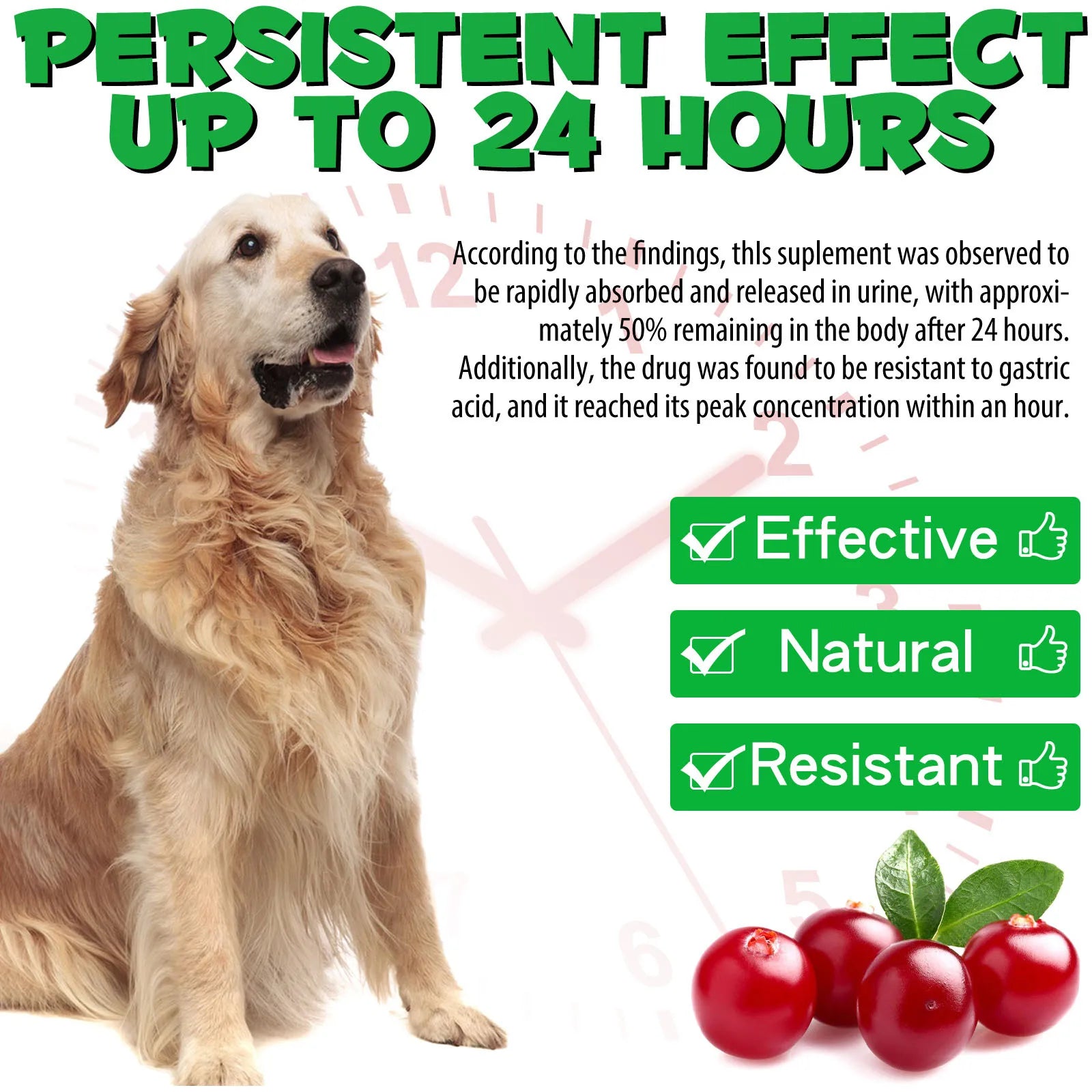 Cranberry Urinary Tract & Bladder Support Dietary Drops for Dogs