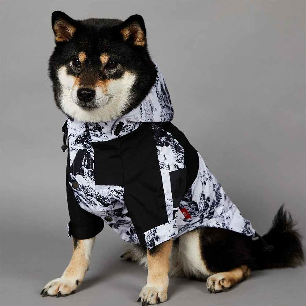 Luxury Designer Multi-Color Waterproof Pet Rain Coat