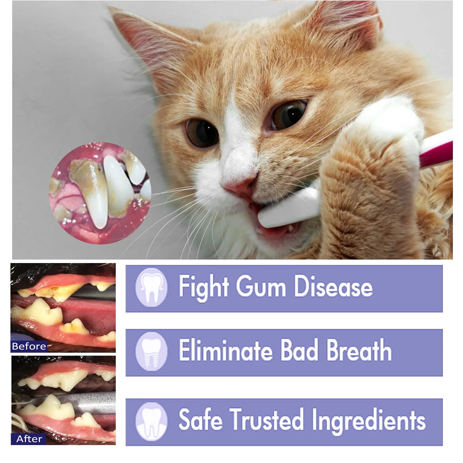 Pet Oral Clean Care Toothpaste