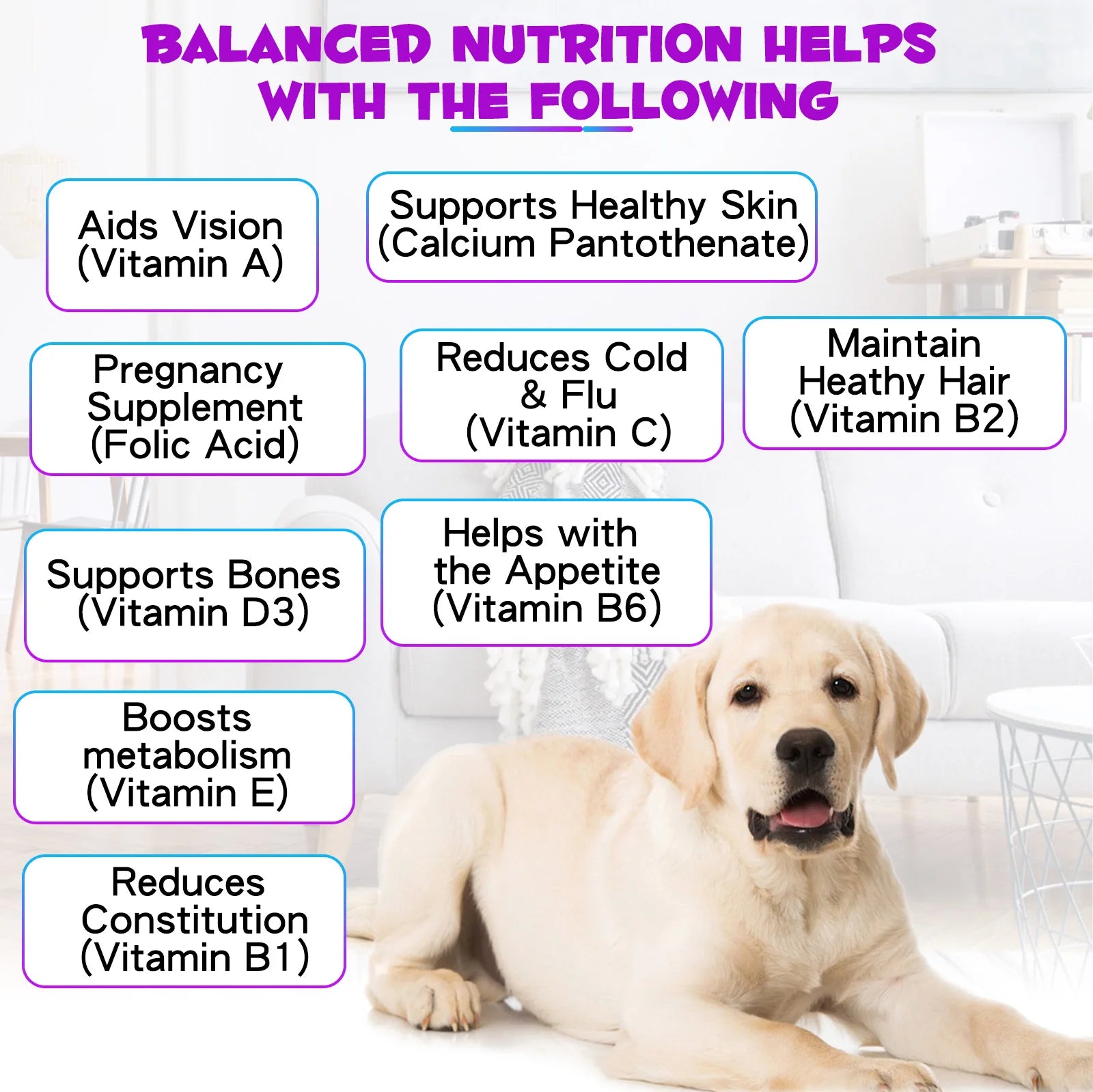 Natural Plant Formula 15-in-1 Multivitamin For Dogs