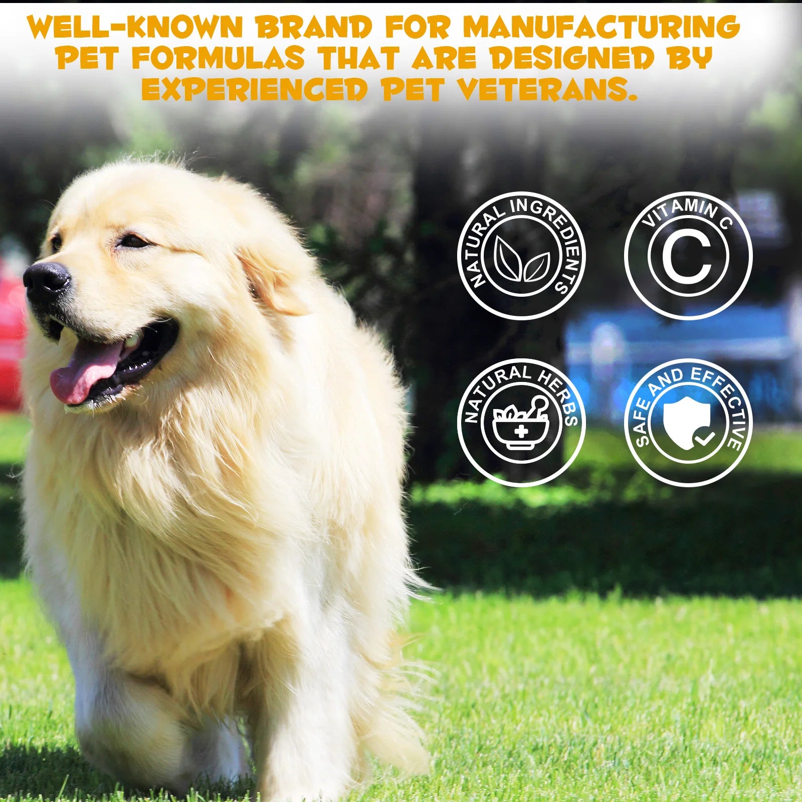 Allergy & Immune Support Liquid Dog Supplement