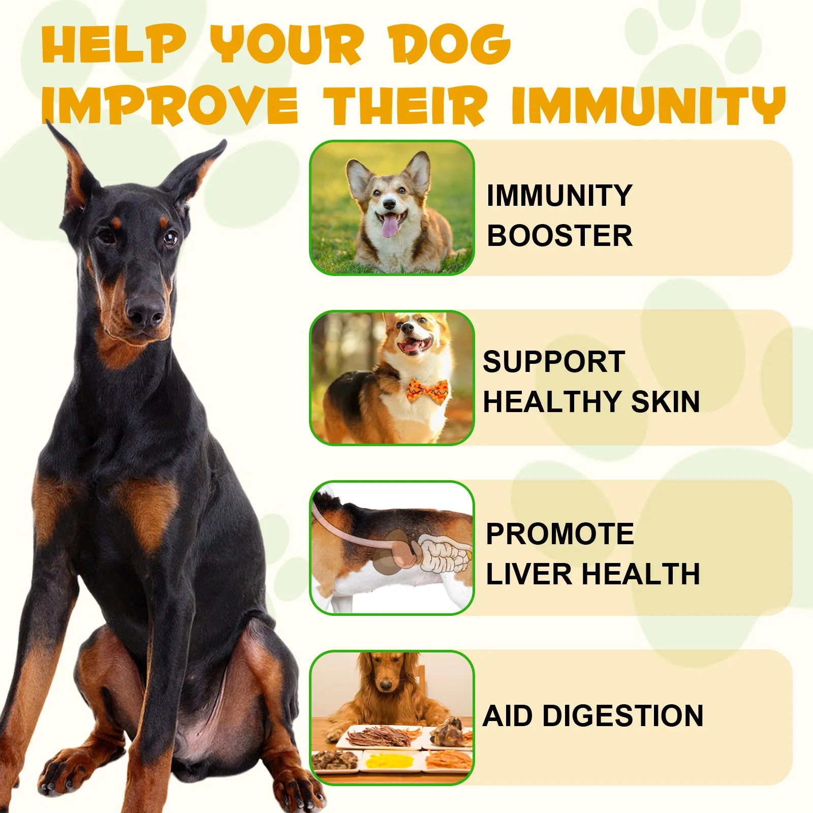 Allergy & Immune Support Liquid Dog Supplement