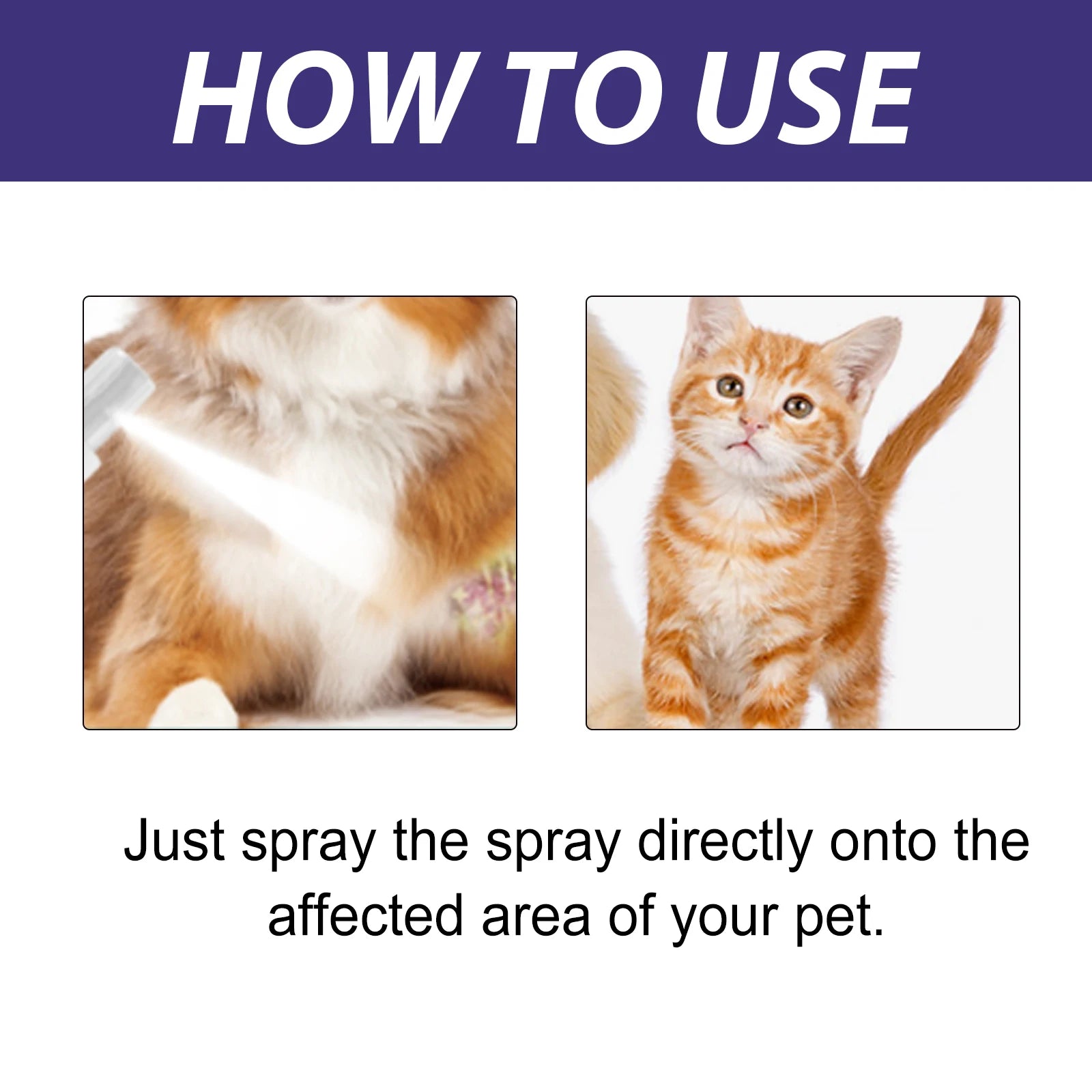 Restorative Pet Skin Care Spray