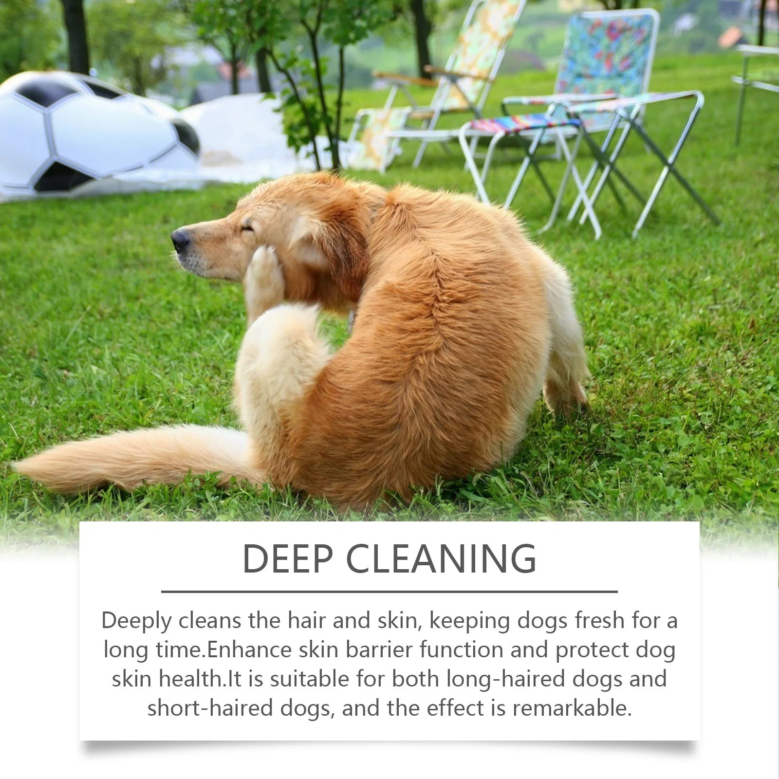 Tear-Free Hypoallergenic Hair Softening Dog Shampoo