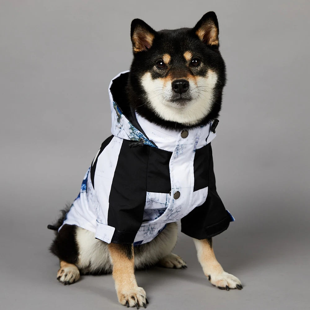 Luxury Designer Multi-Color Waterproof Pet Rain Coat