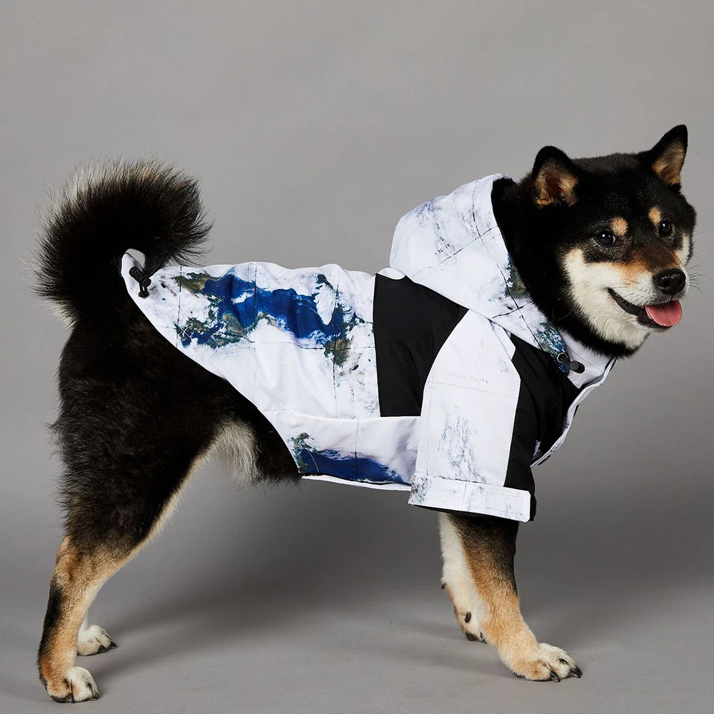 Luxury Designer Multi-Color Waterproof Pet Rain Coat
