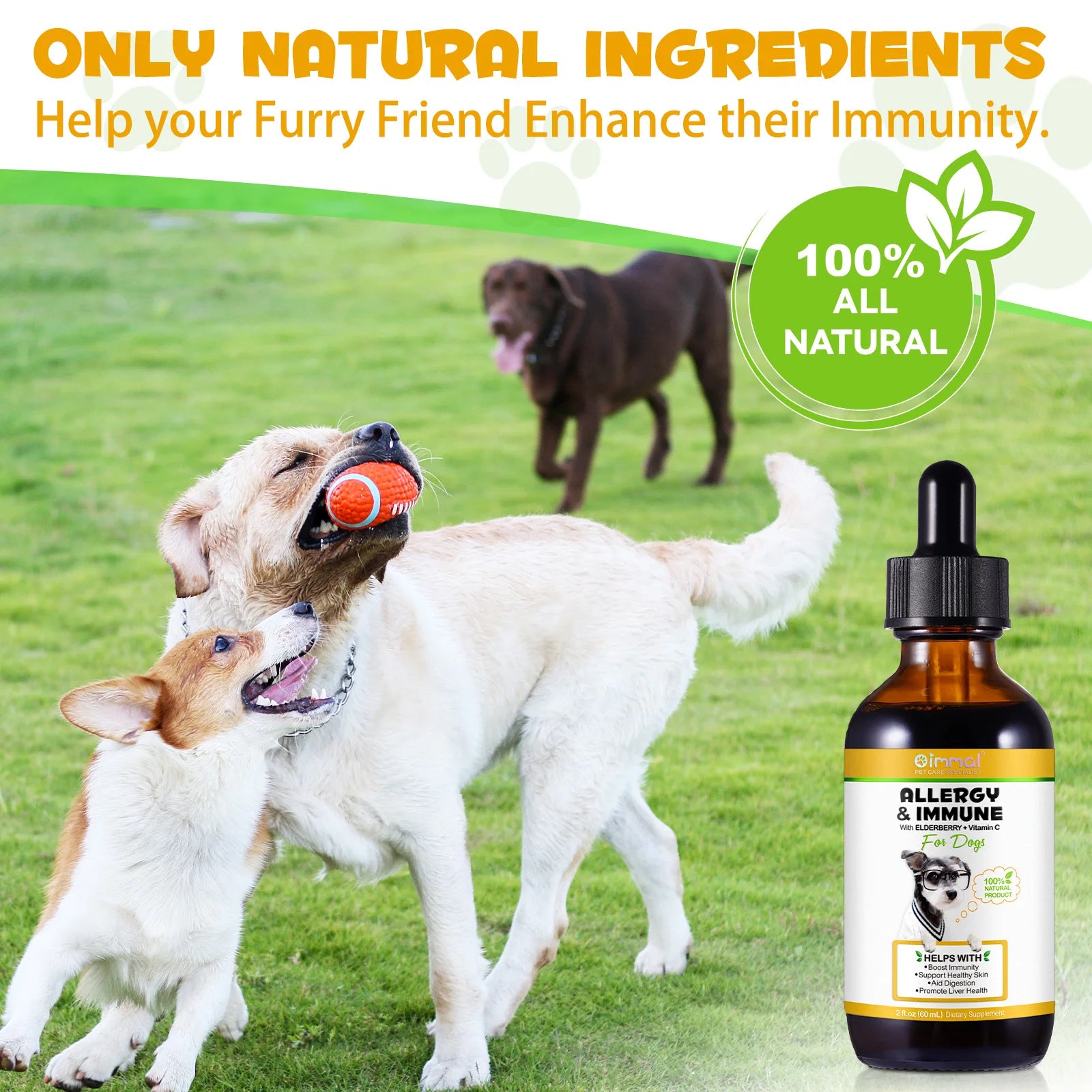 Allergy & Immune Support Liquid Dog Supplement