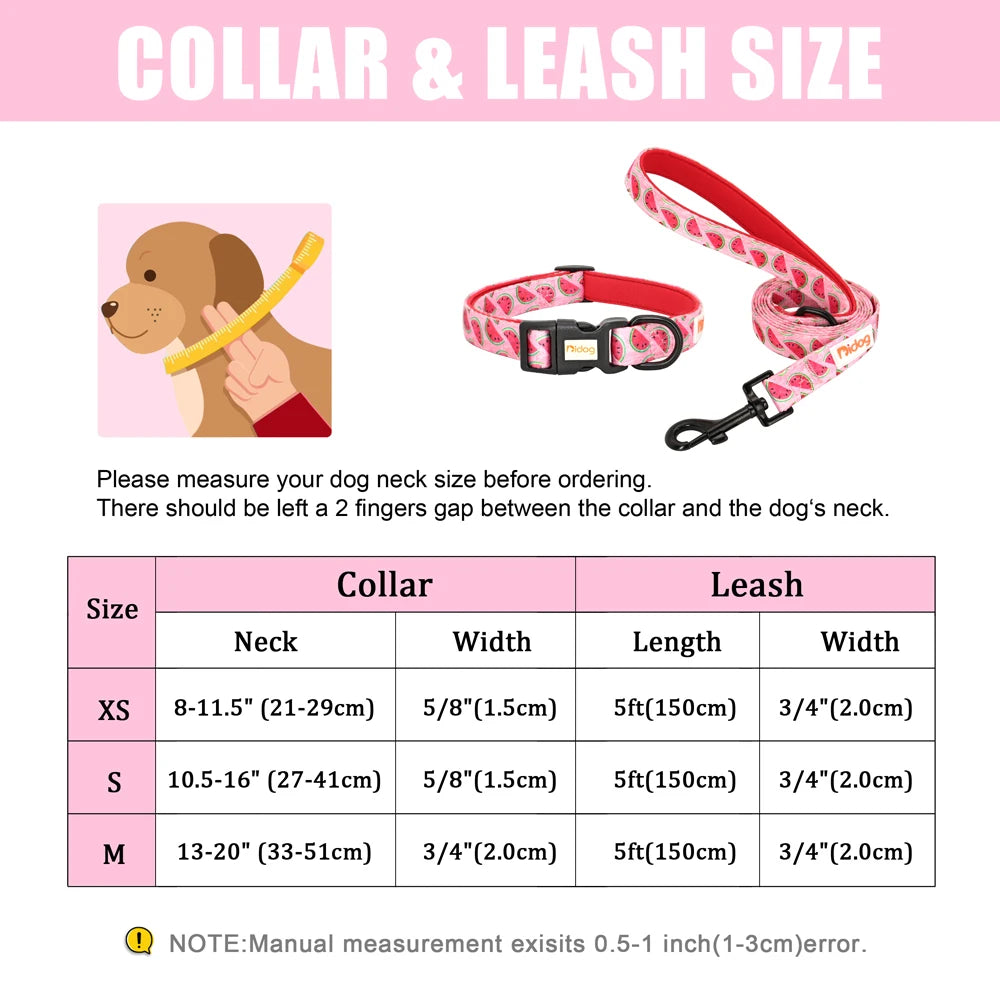 Print Nylon Dog Collar and Leash Set