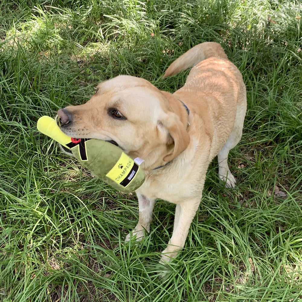 Creative Plush Filled Bite-Resistant Dog Toy