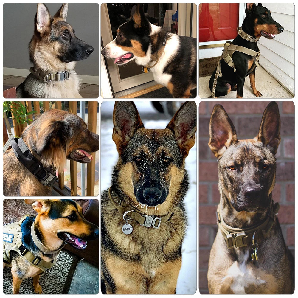 Adjustable Tactical Dog Training  Collar