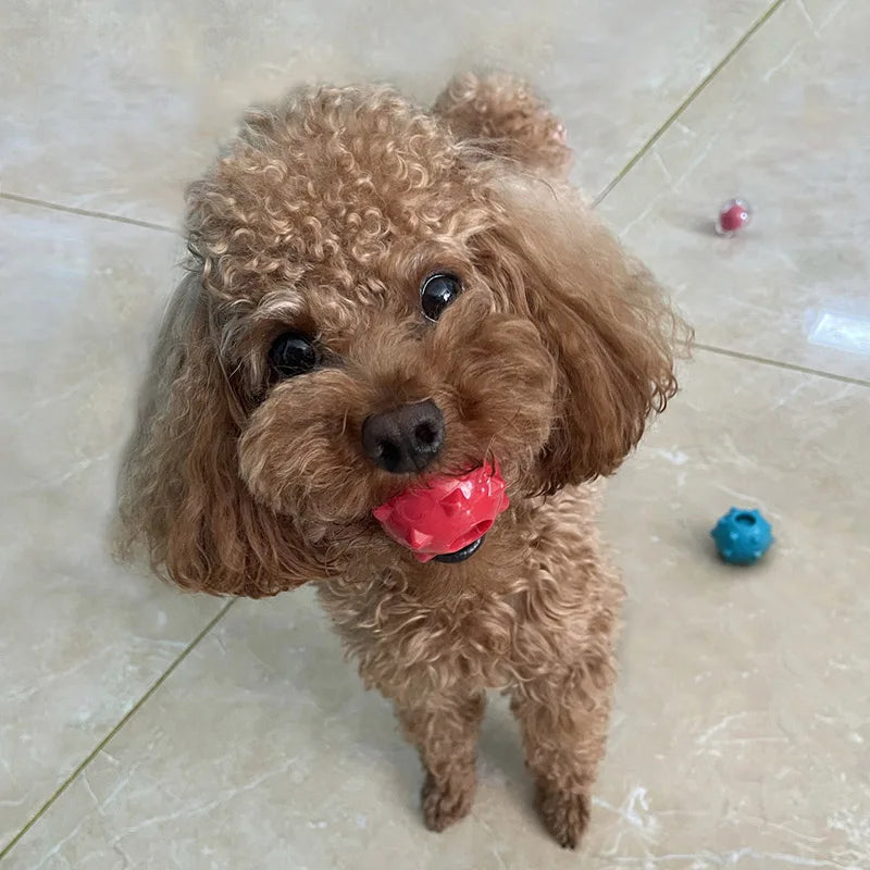 Mini Squeaky Pet Toy Balls