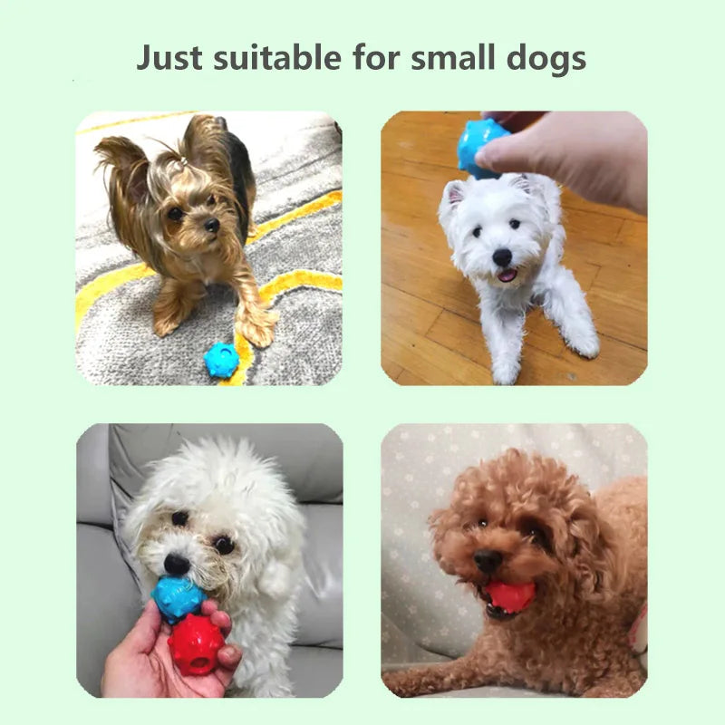 Mini Squeaky Pet Toy Balls