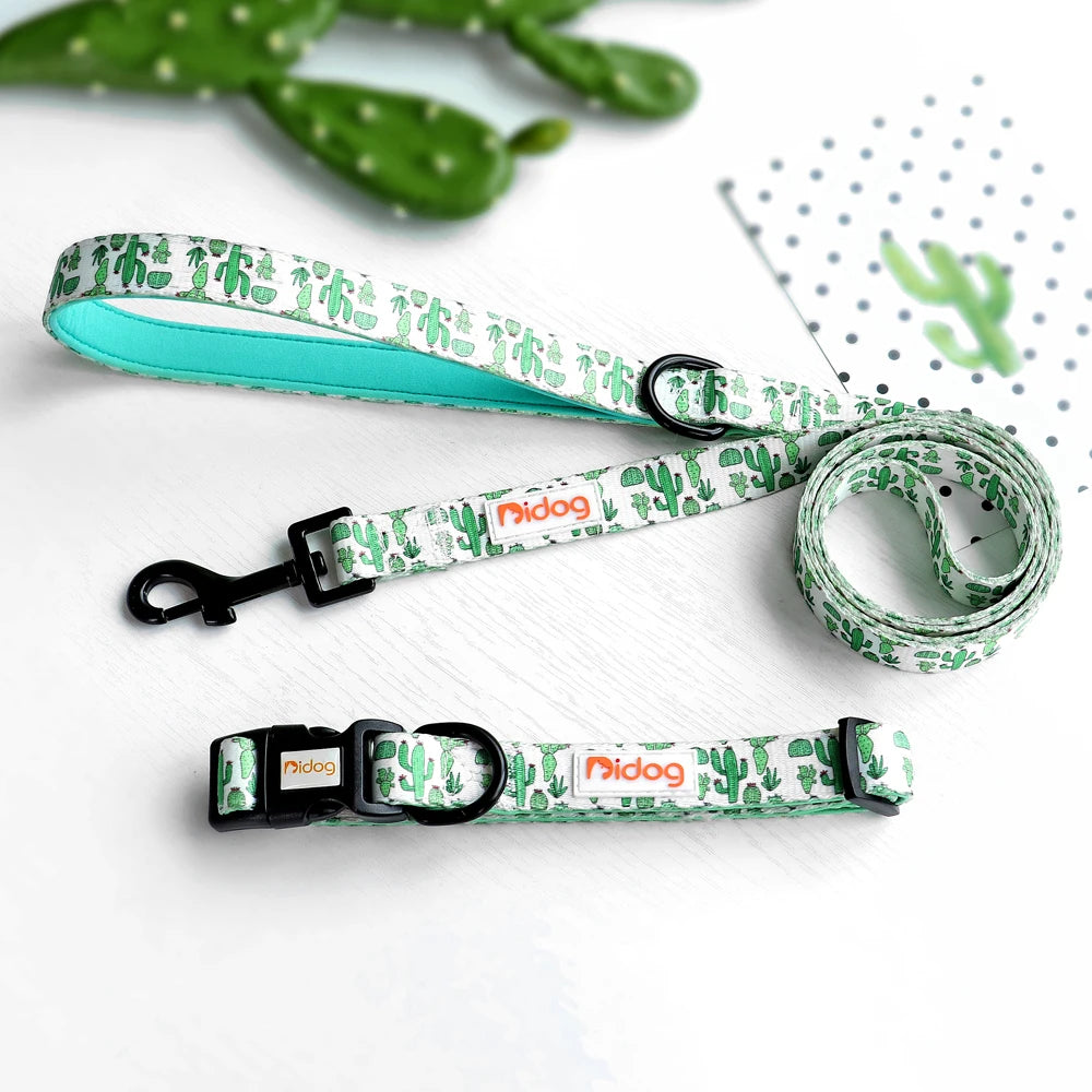 Print Nylon Dog Collar and Leash Set