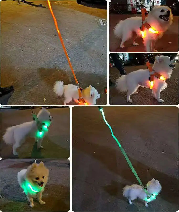 Luminous LED Dog Safety Harness