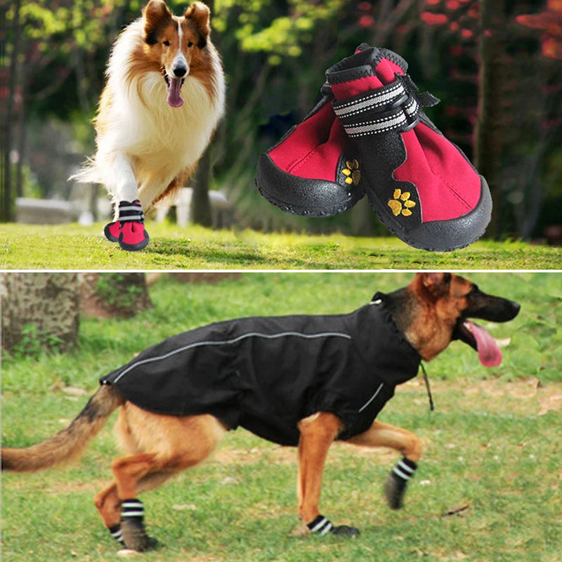 4PC Set Sport Dog Running Sneakers