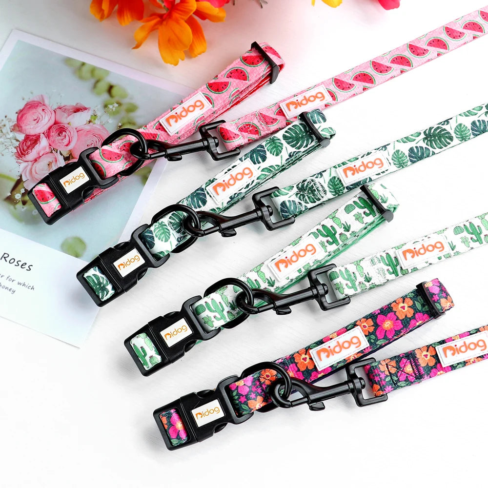 Print Nylon Dog Collar and Leash Set