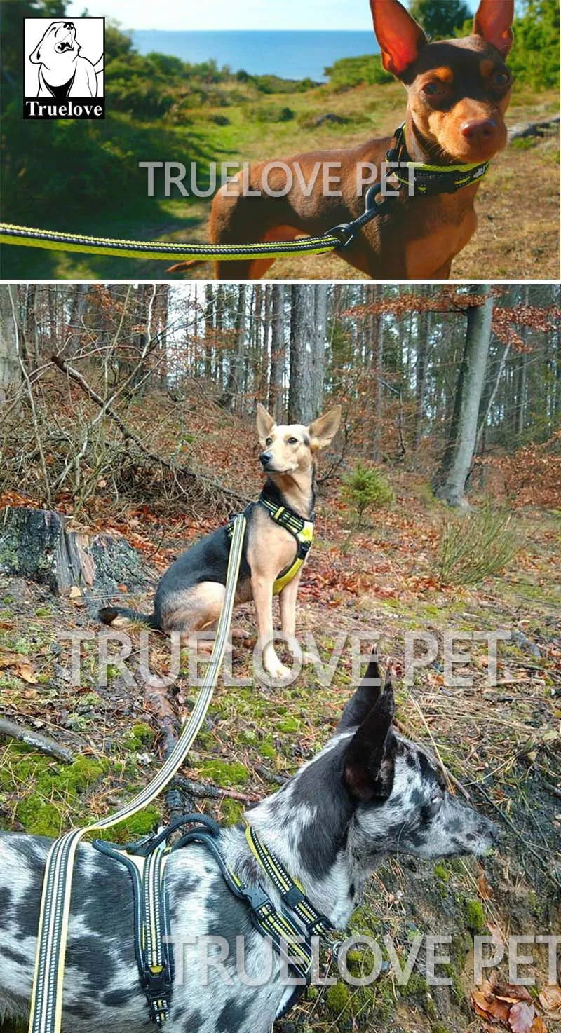 Soft Mesh Nylon Double Thick Reflective Dog Leash