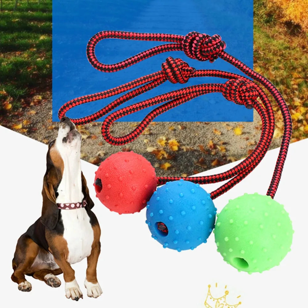 Rubber Dog Chew Toy w/Rope Handle