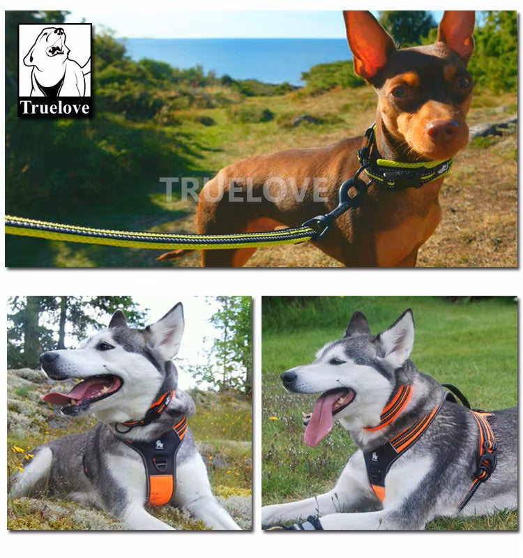Heavy Duty Mesh-Padded 3M Reflective Dog Collar