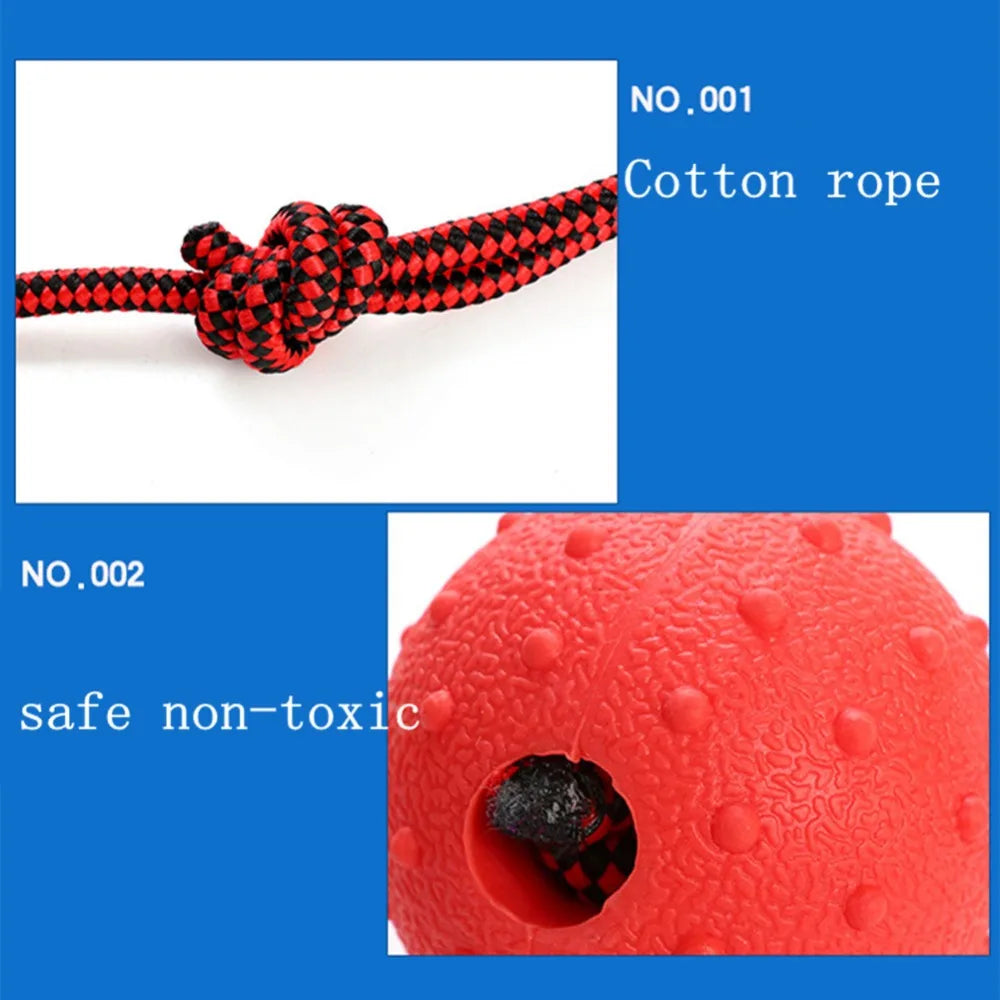 Rubber Dog Chew Toy w/Rope Handle