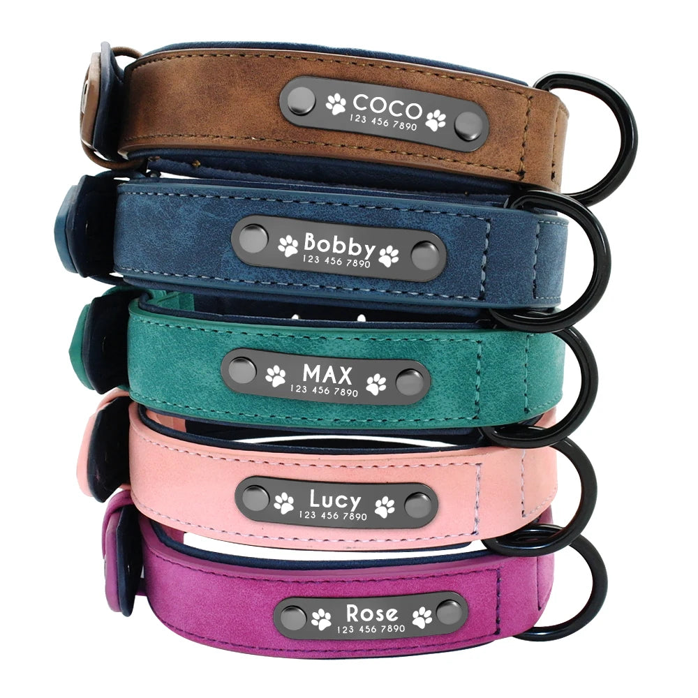 Custom Personalized Leather Dog Tag Collar & Leash