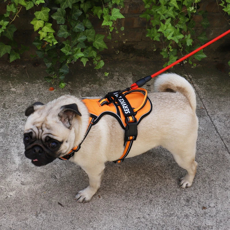 Reflective Personalized Dog Harness Vest