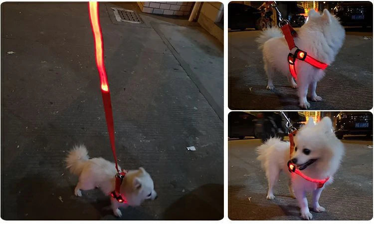 Luminous LED Dog Safety Harness