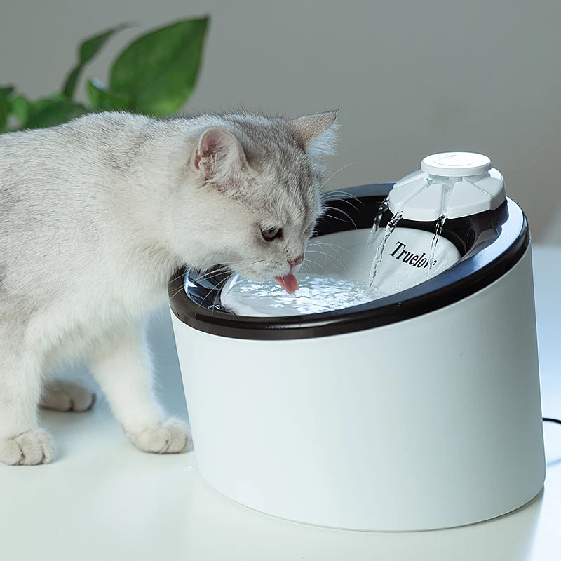 Truelove Automatic Electric Pet Water Fountain