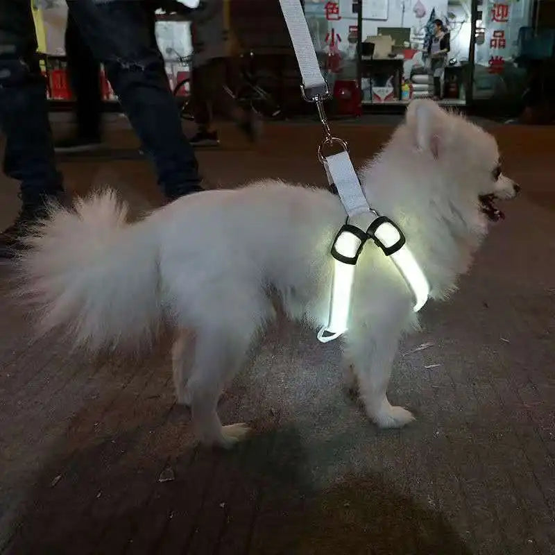 Luminous LED Dog Safety Harness